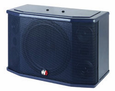 Loa Subwoofer sân khấu - hội trường