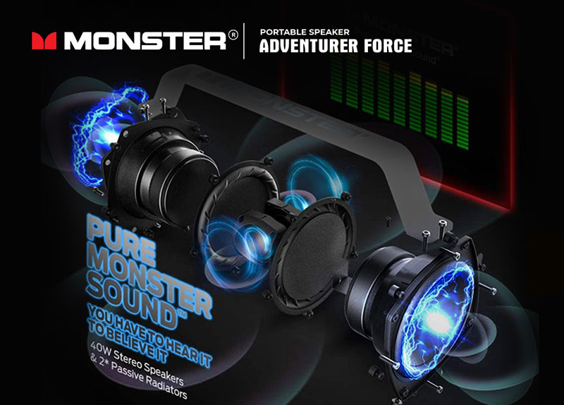 Loa moster MS 21901